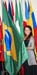 DSC08624a